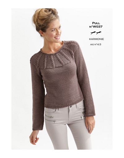 pull femme modele tricot gratuit